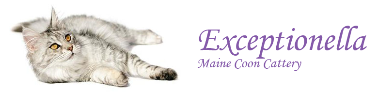 Exceptionella Maine Coon Cattery